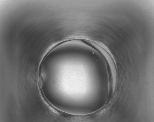 X0000054391005200508051642