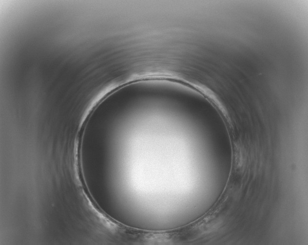 X0000054391006200508051642