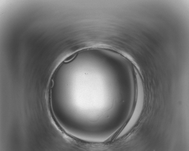 X0000054391007200508051642