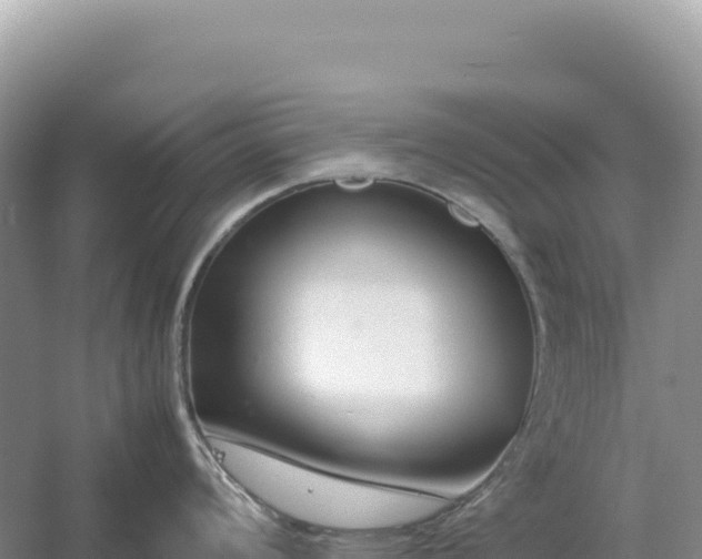 X0000054391008200508051642