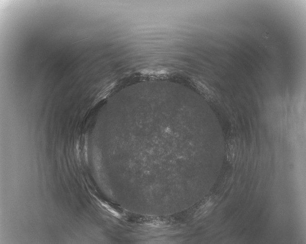 X0000054391010200508051642