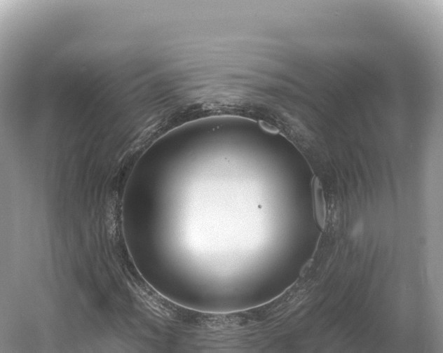 X0000054391012200508051642