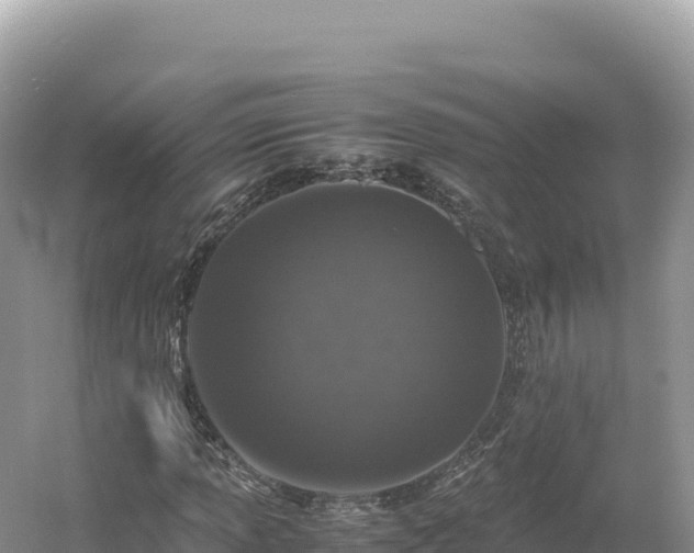 X0000054391013200508051642