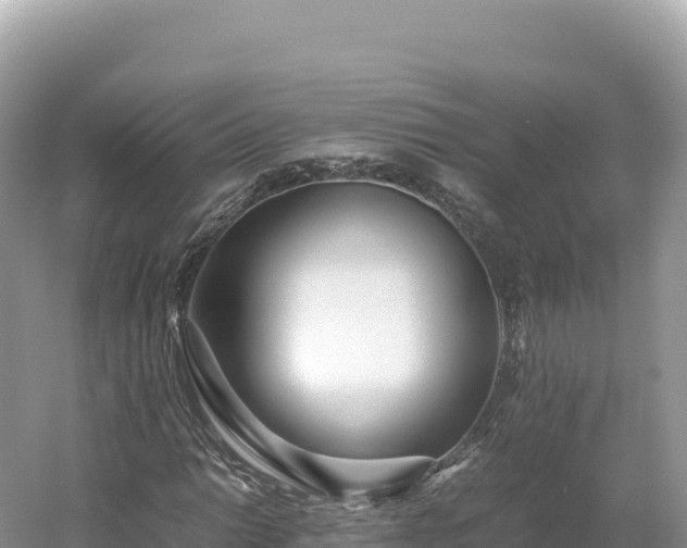 X0000054391014200508051642