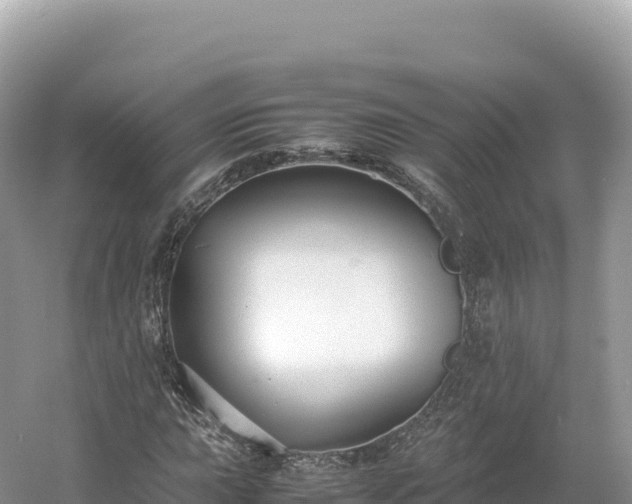 X0000054391015200508051642