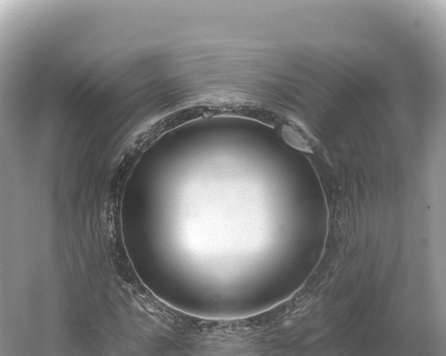 X0000054391016200508051642