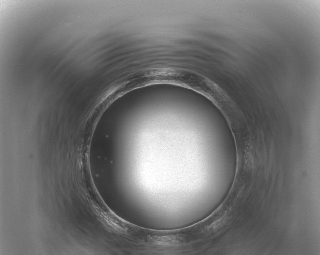 X0000054391017200508051642