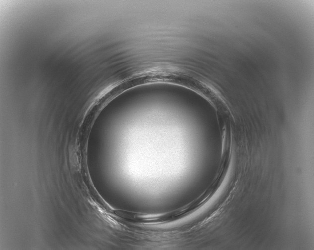 X0000054391018200508051642