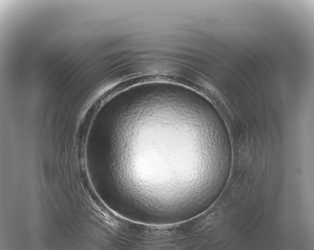 X0000054391019200508051642