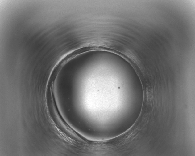 X0000054391020200508051642