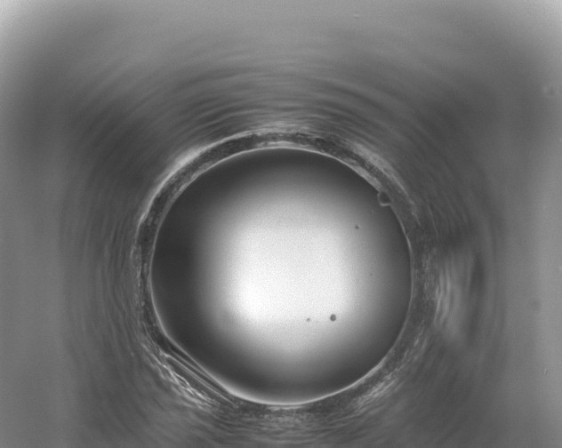 X0000054391021200508051642