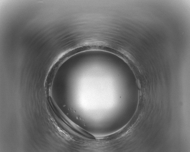 X0000054391022200508051642