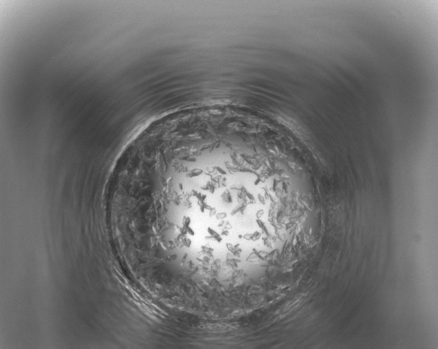 X0000054391023200508051642