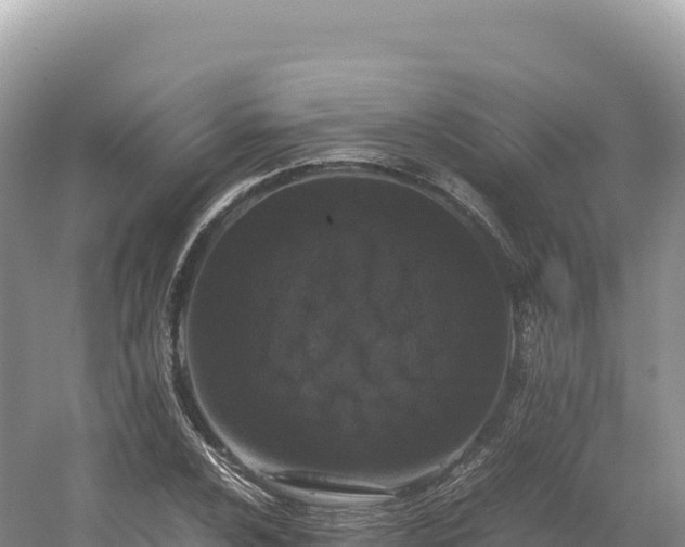 X0000054391024200508051642