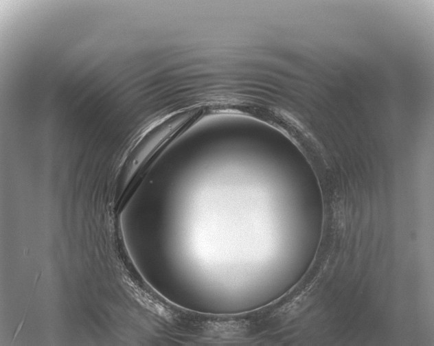 X0000054391025200508051642