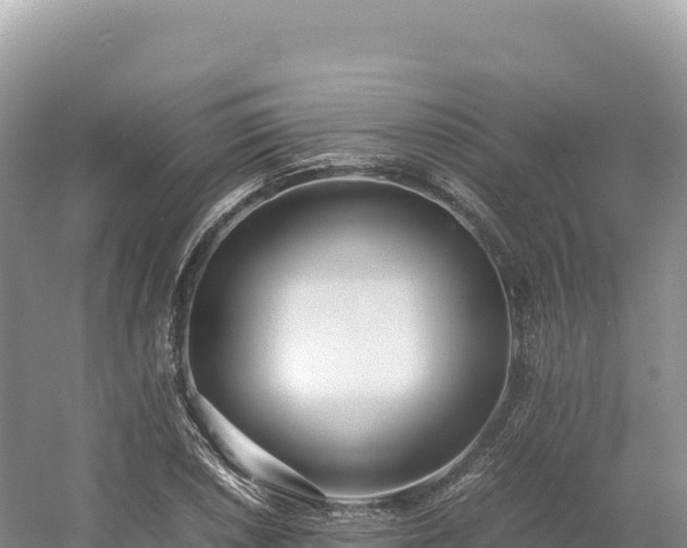 X0000054391026200508051642