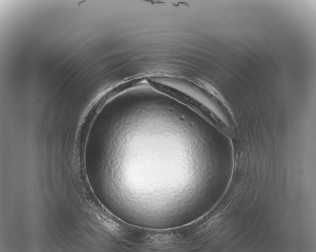 X0000054391027200508051642