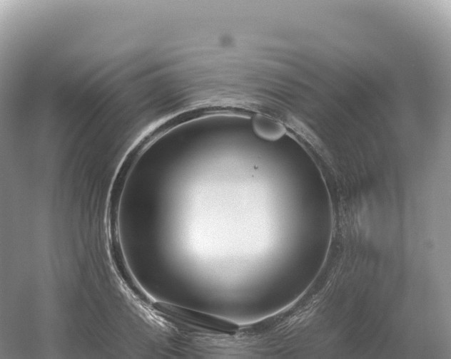 X0000054391028200508051642