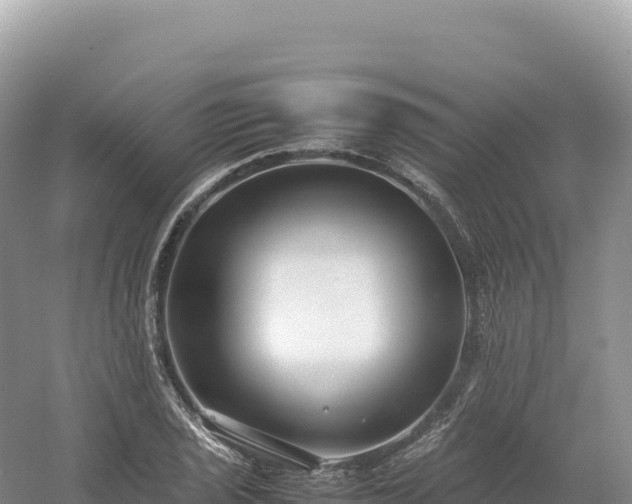 X0000054391029200508051642