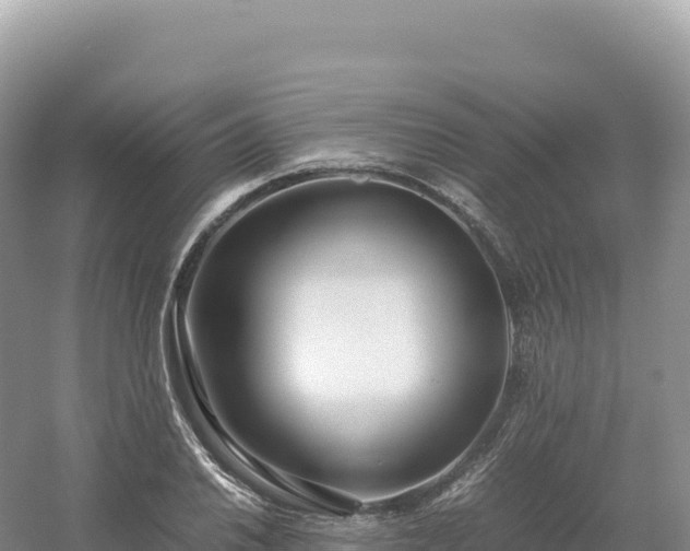 X0000054391030200508051642