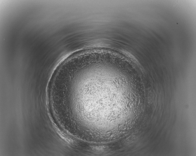 X0000054391031200508051642