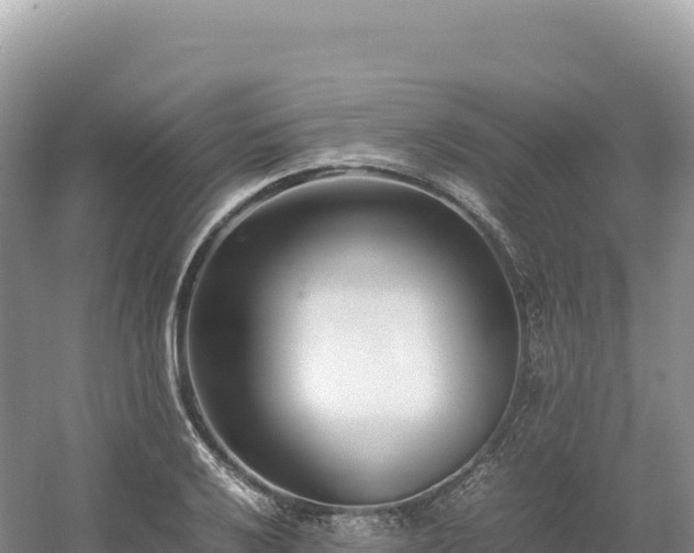 X0000054391032200508051642