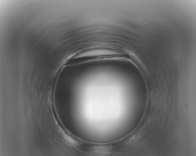 X0000054391033200508051642