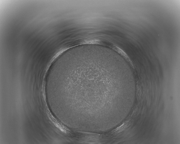 X0000054391035200508051642