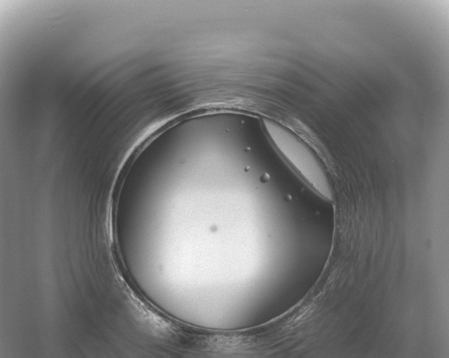 X0000054391036200508051642