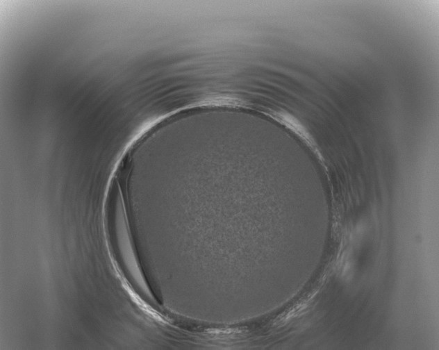 X0000054391037200508051642