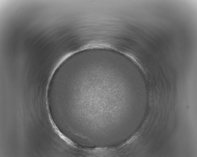 X0000054391038200508051642