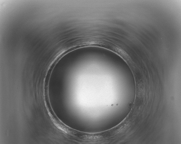 X0000054391039200508051642