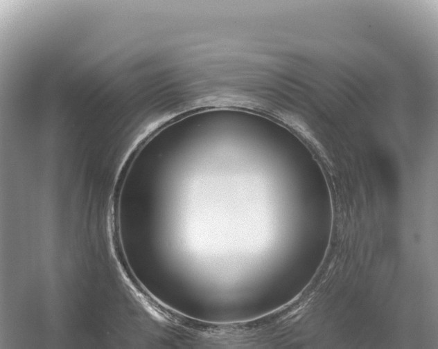 X0000054391040200508051642