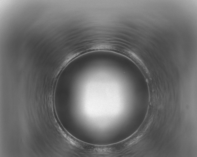 X0000054391041200508051642