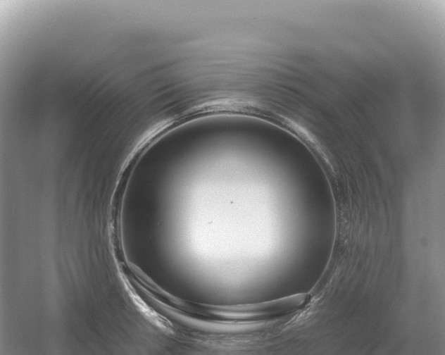 X0000054391042200508051642