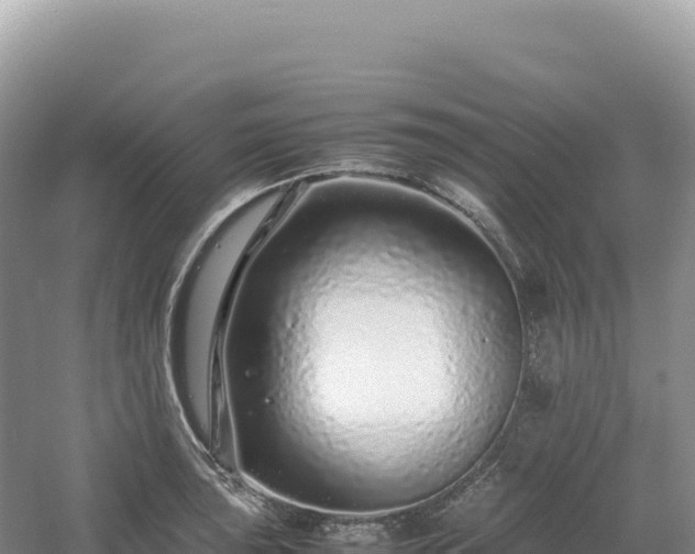 X0000054391043200508051642