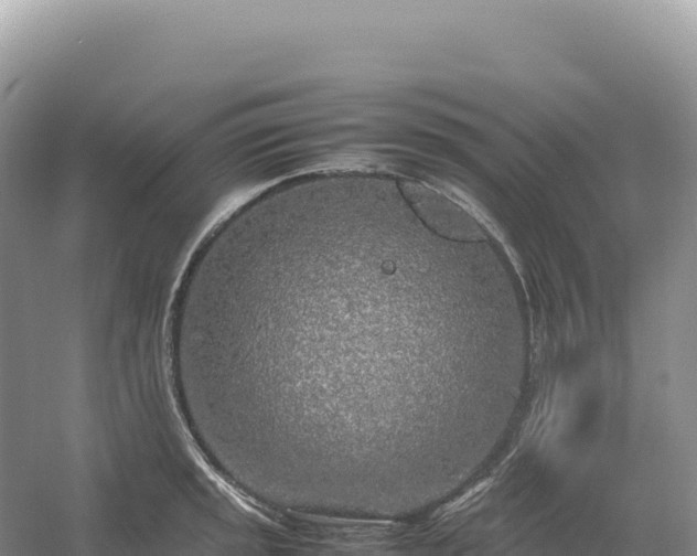 X0000054391045200508051642