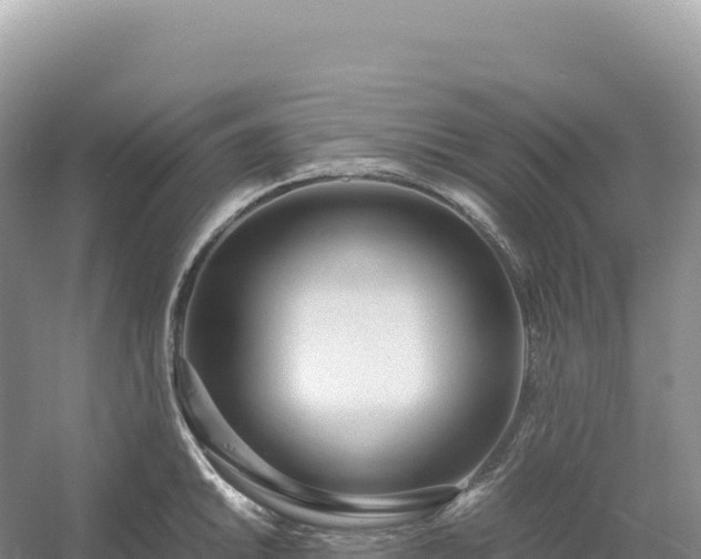 X0000054391046200508051642