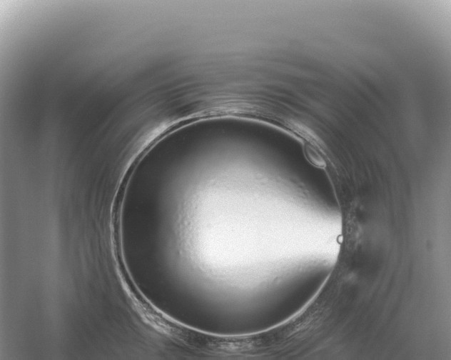 X0000054391047200508051642