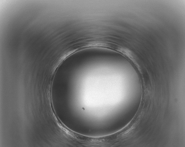 X0000054391049200508051642