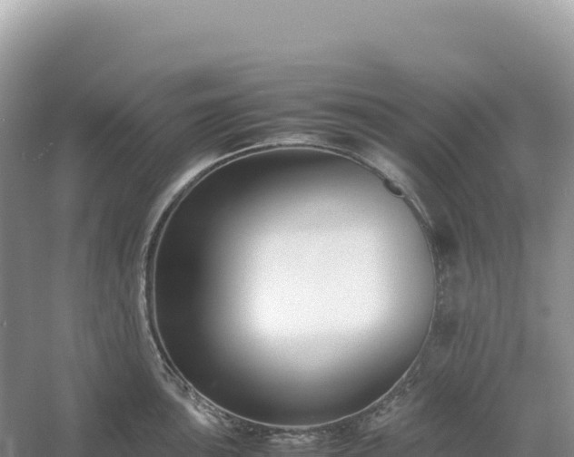 X0000054391051200508051642