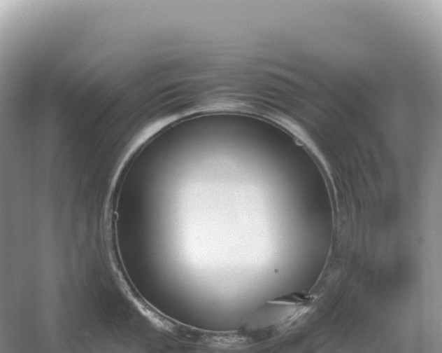 X0000054391053200508051642