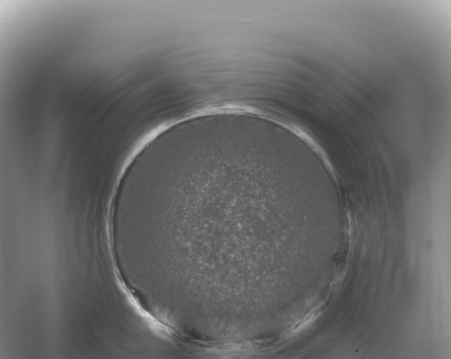 X0000054391054200508051642