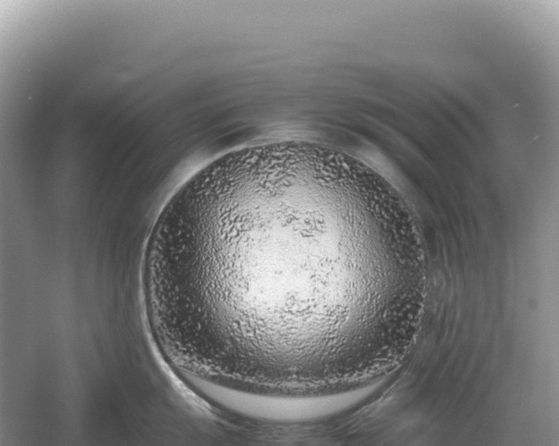 X0000054391055200508051642