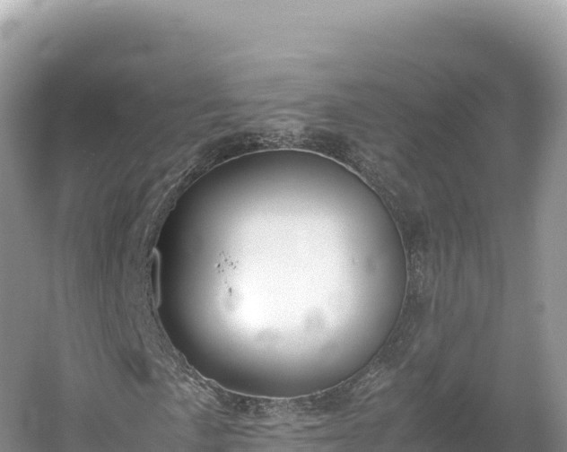 X0000054391057200508051642