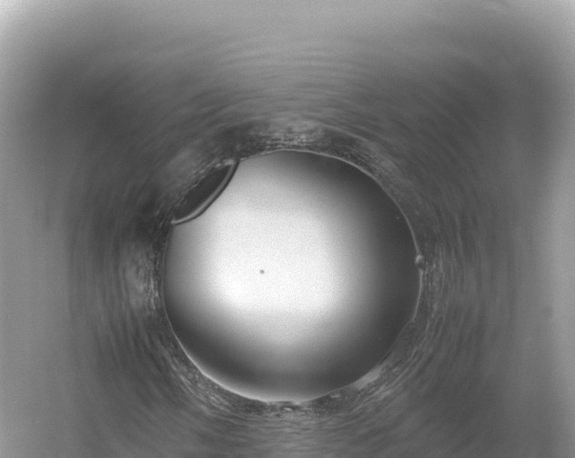 X0000054391058200508051641