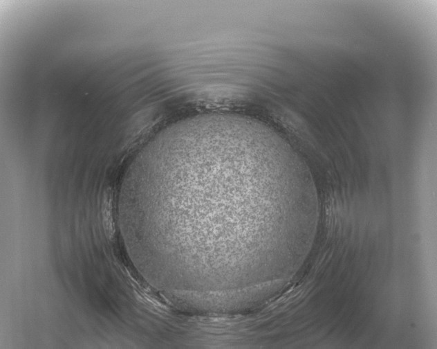 X0000054391060200508051641