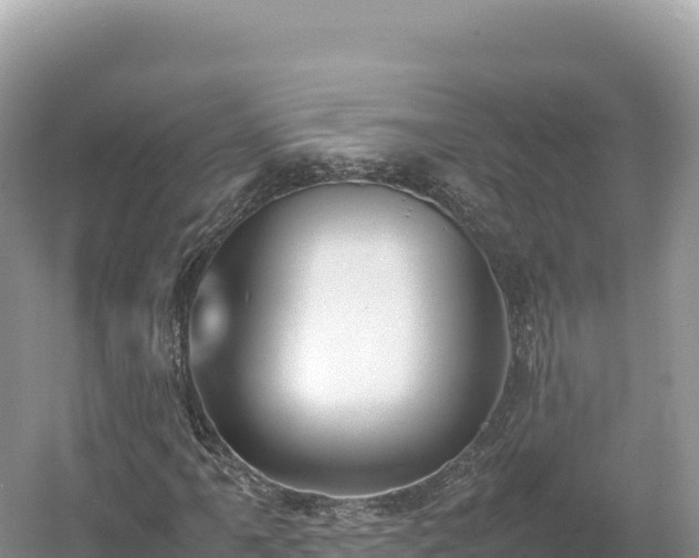 X0000054391061200508051641