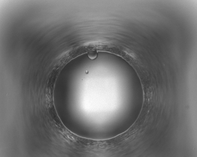 X0000054391062200508051641