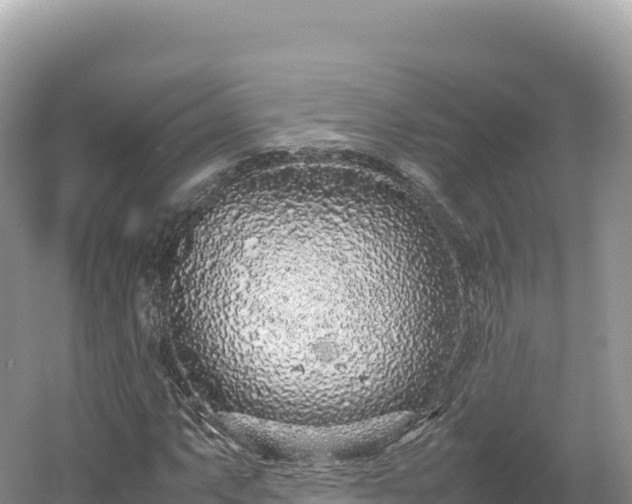 X0000054391063200508051641